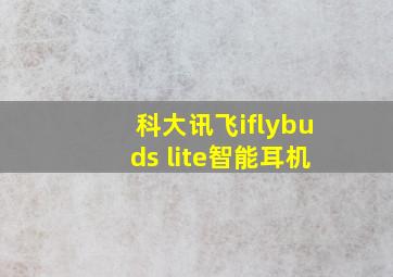 科大讯飞iflybuds lite智能耳机